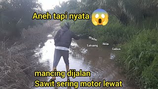 aneh tapi nyata...!!! sungguh diluar dugaan mancing di jalanan sawit ternyata ada ikannya