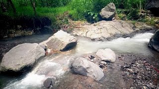 Tranquil River, Lush Landscape: A Relaxing Escape | Relaxing Nature Sounds ASMR