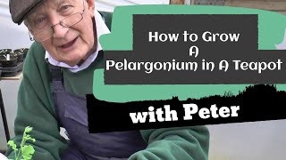 How to Grow a Pelargonium in a Teapot | Peter Seabrook