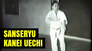 Uechi Ryu Sanseryu vista Frontal y Lateral - Kanei Uechi Sensei