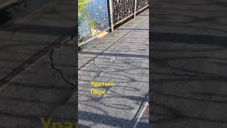 Осторожно, в парке «Кирова» обнаружена дыра #уральск