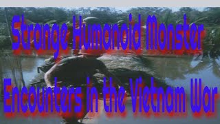 Strange Humanoid Monster Encounters in the Vietnam War