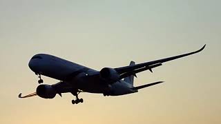 BEAUTIFUL SUNRISE LANDING | Malaysia Airlines A350-900 landing at London Heathrow Airport