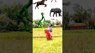 Catching cat, bear, horse, elephant vs Dancing jocker & dame tu cosita alien - funny vfx #comedy