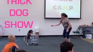 Cute Dog Trick Show at the Library