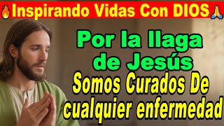 EN VIVO ¦ Por la llaga de Jesús somos curados de cualquier enfermedad