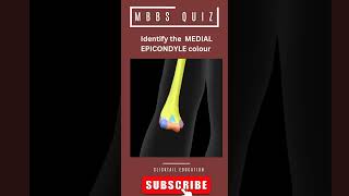 Identify the MEDIAL Epicondyle 3d images #medicalquiz #anatomyquiz #neetpgpreparation #mbbsanatomy