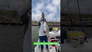 Look at the size of this fish! #fishing #facebook #ytshort #tiktok