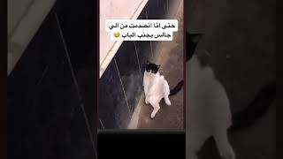 انصدمت مضحك