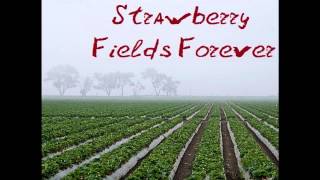 The Beatles - Strawberry Fields Forever