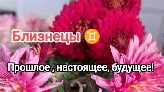 Близнецы ♊ прошлое, настоящие , будущее