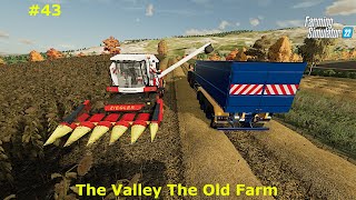 We're Harvesting The Sunflowers Today! // Farming Simulator 22 // The Valley The Old Farm - Ep. 43