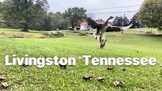 Fall Comes To Livingston Tennessee 🍁