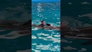 Swimming with a Dolphin in Phuket Thailand! #shorts #dolphin #swimming #phuket #thailand