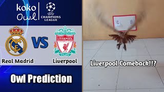 Real Madrid vs Liverpool || Leg 2 Round of 16 UEFA Champions League || Owl Prediction