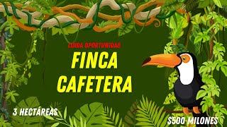 VENTA DE FINCA CAFETERA EN GARZON HUILA