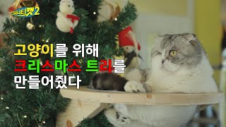 [ENG] 구조묘들에게 캣트리를 만들어줬다ㅣ인피니티캣2 5화