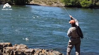 PESCA EN RÍOS CON TECNICAS MUY EFECTIVAS. Pesca con Mosca, Fly Fishing, Rio Collón Cura /Río Nahueve