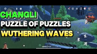 PUZZLE OF PUZZLES CHANGLI TIDERISE CLIFF WUTHERING WAVES GUIDE