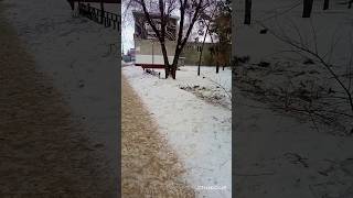 Сняли забор в парке#жизньлары #приколы #реальнаяжизнь