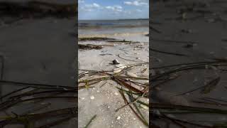 How time moves on the beach. Can you spot it?