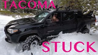 Burying the Tacoma in Snow