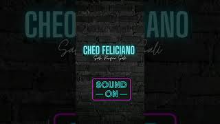 Cheo Feliciano - Salí Porque Salí #salsa #salsaconletra #salsadesiempre #salsaromantica #music