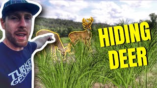 Hiding my DEER & Creating Hunting Concealment