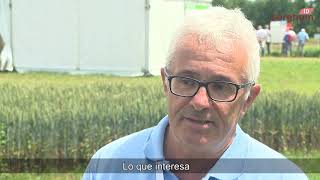 Jean Luc VERDIER  - El sorgo y las técnicas de cultivo innovadoras