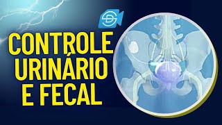 NEUROMODULAÇÃO SACRAL: TÉCNICA COMPLETA E PRA QUE SERVE!