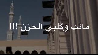 مرتضى حرب چلمه الها بويه تصرخ وينها چلمه الابويه الحنينه 😢💔