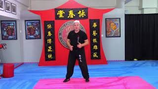 Wing Chun Footwork, Lesson 1