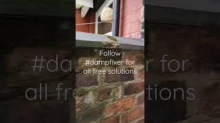 damp terrace repairs