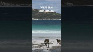 Discover Western Australia: A Land of Vast Adventures