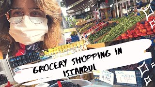 GROCERY SHOPPING IN ISTANBUL TURKEY | Is turkey cheap | Supermarket in Turkey | Shop Visit | Mehwish