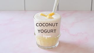 Real Vegan Coconut Yoghurt - updated version