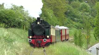 Kitten against steam locomotive - Taschentiger gegen Dampflok - Vulkan Express