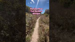 Manistee River Trail #short #shorts #trail #shortvideo #shortsfeed #walking #hiking #fyp #fy #fypage