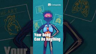 Kids Song About Human Body | Fun Song Teaches Kids About the Human Body! 🎵 #kidssong