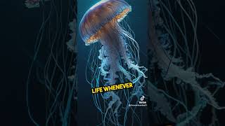 Did u know? Jellyfish… #jellyfish #facts #immortal #amazing #viralvideos