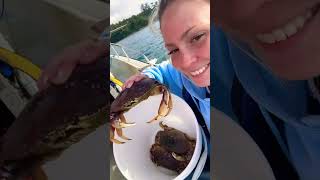 Waldport Bay! #crabbing #dungenesscrab #waldportoregon #seafood #oregoncoast