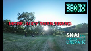 More Juicy than SBANG | FPV Freestyle |  NoStab | Neverdisarm | #love