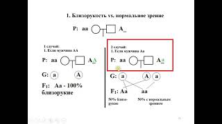 4 Решение задачи про близорукого левшу