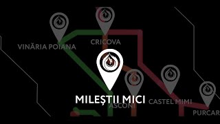 #EuVinDinMoldova MILEȘTII MICI