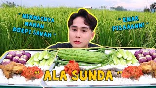 Mukbang Ala Sunda Tepi Sawah pakai Lalapan|Nikmat tak ada tanding lebih enak daripada makan restoran