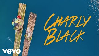 Charly Black - Love Every Woman