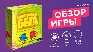 Настольная игра "Черепашьи бега" - краткий обзор от магазина Wheelko