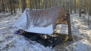 Winter Hammock Camp