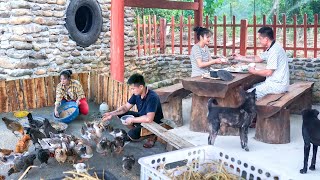 Build Nest For Chicken To Lay Eggs - A Cozy Meal For The Couple After Hard Days, Live with nature