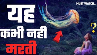 Life cycle of jellyfish | Jellyfish facts in hindi | A immortal species | Life of a jellyfish